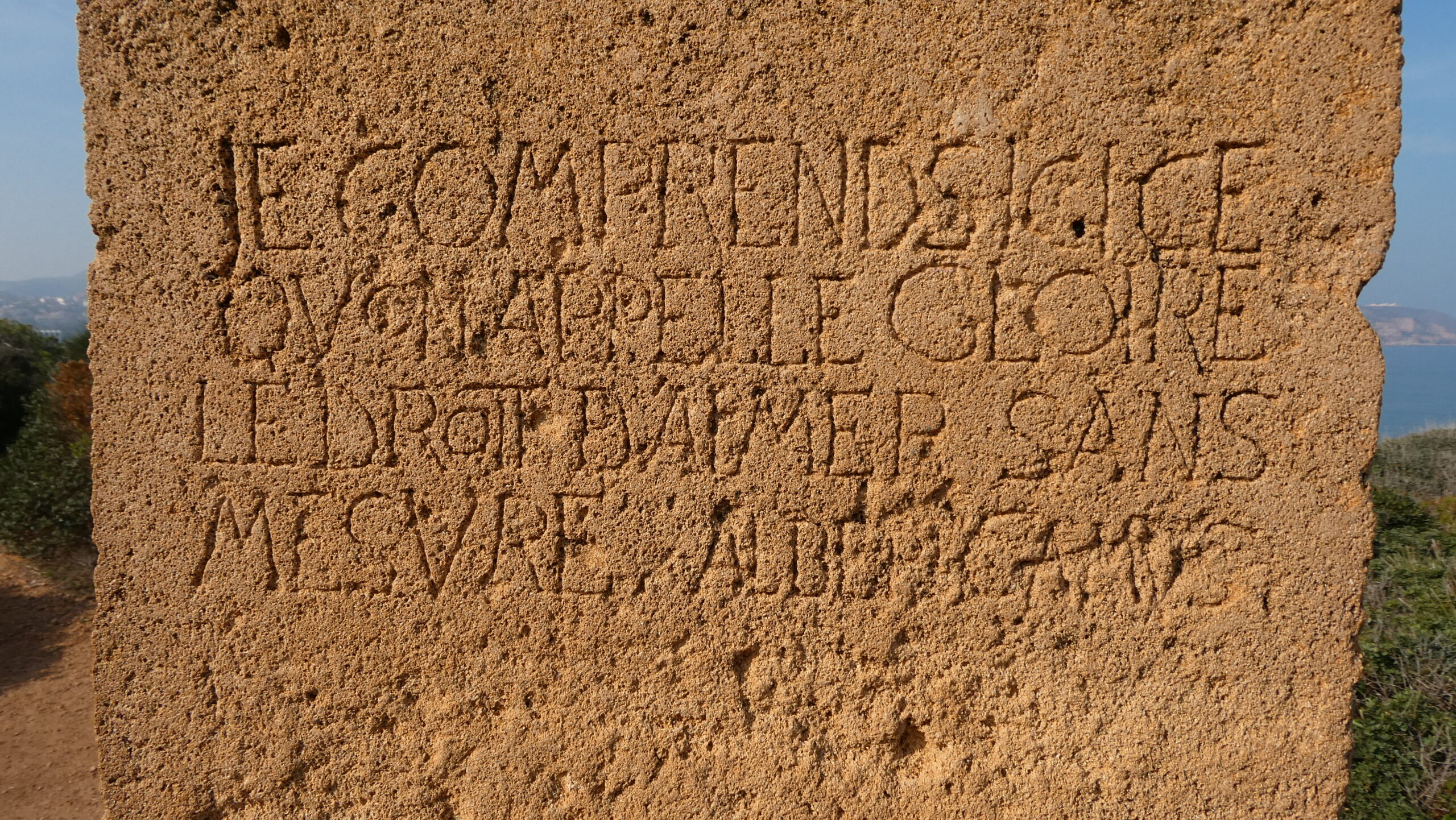 p1032516